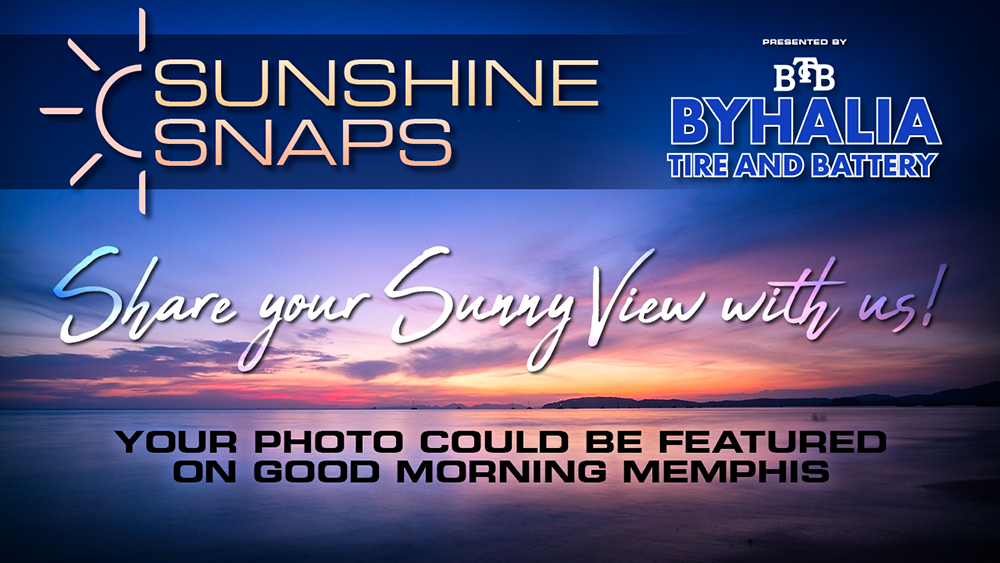 Sunshine Snaps — share your sunny view with us